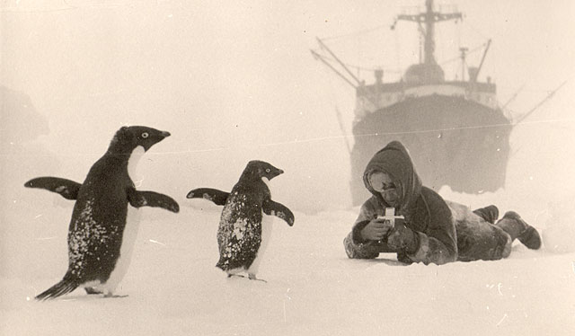 Фотография участников первой советской антарктической экспедиции 4