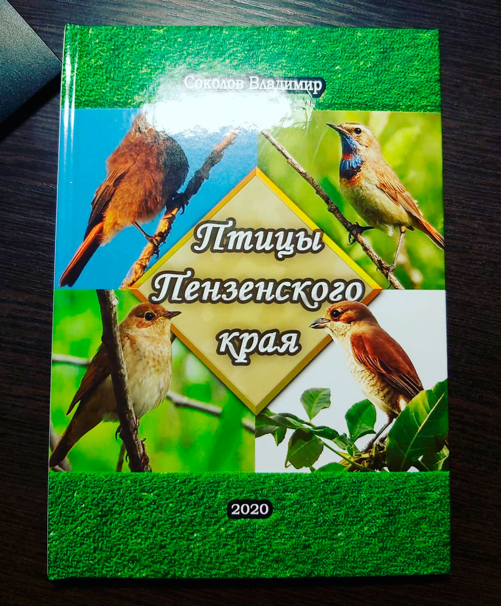 Птицы пензенского края фото с описанием