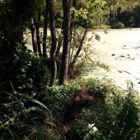 IMG 20190813 111318